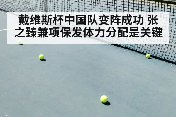 戴维斯杯中国队变阵成功 张之臻兼项保发体力分配是关键