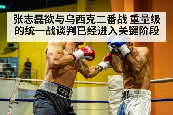 张志磊欲与乌西克二番战 重量级的统一战谈判已经进入关键阶段