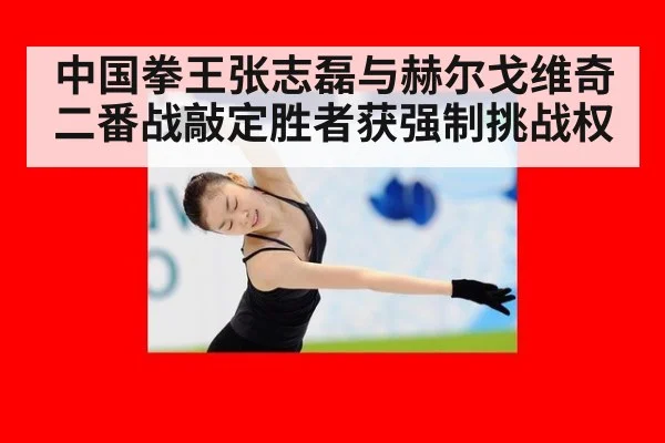 中国拳王张志磊与赫尔戈维奇二番战敲定胜者获强制挑战权